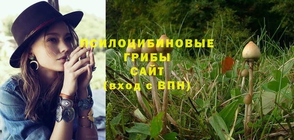 каннабис Богданович