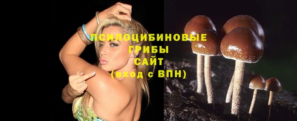 героин Пересвет